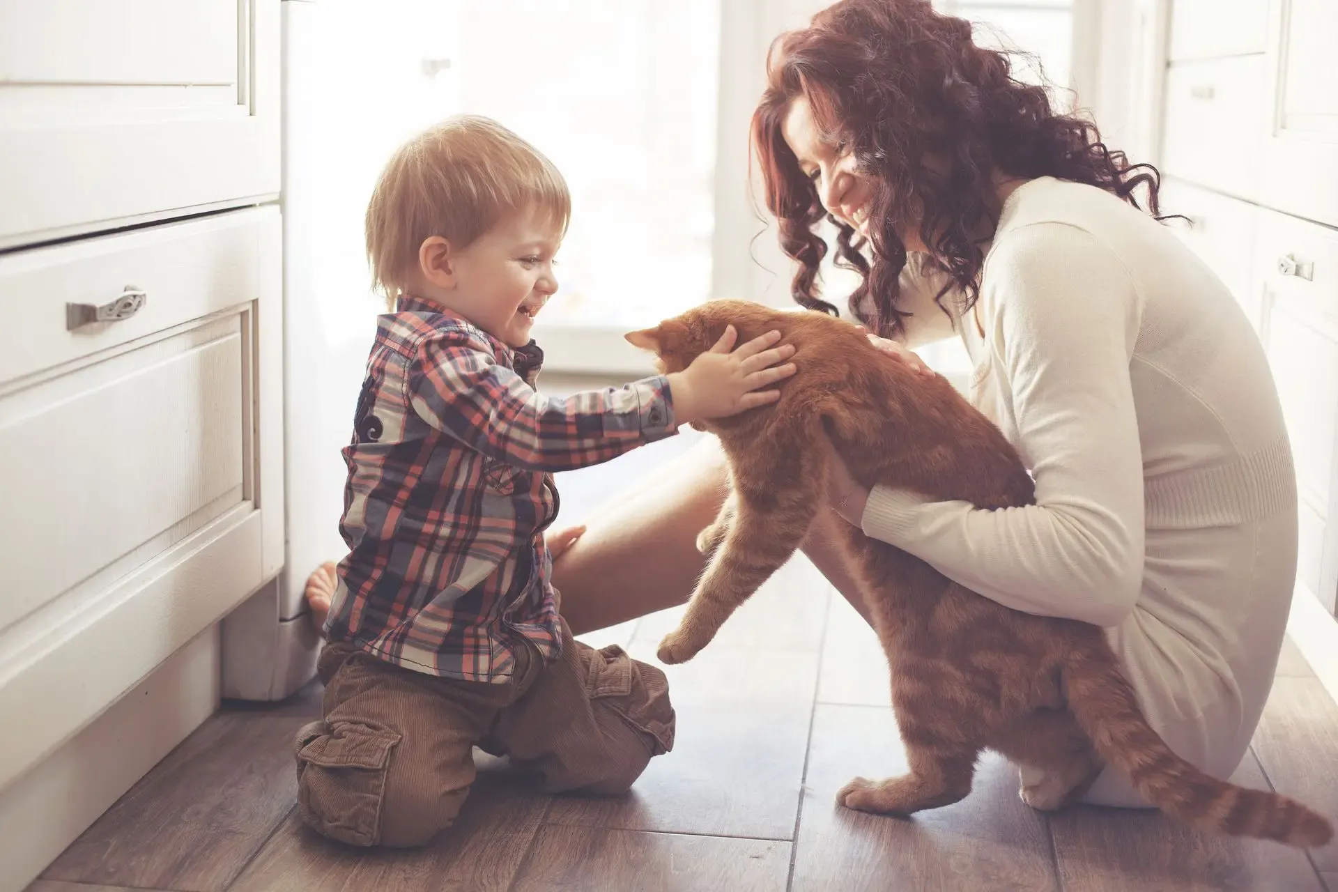 Woman and young child petting an orange cat together in a bright kitchen