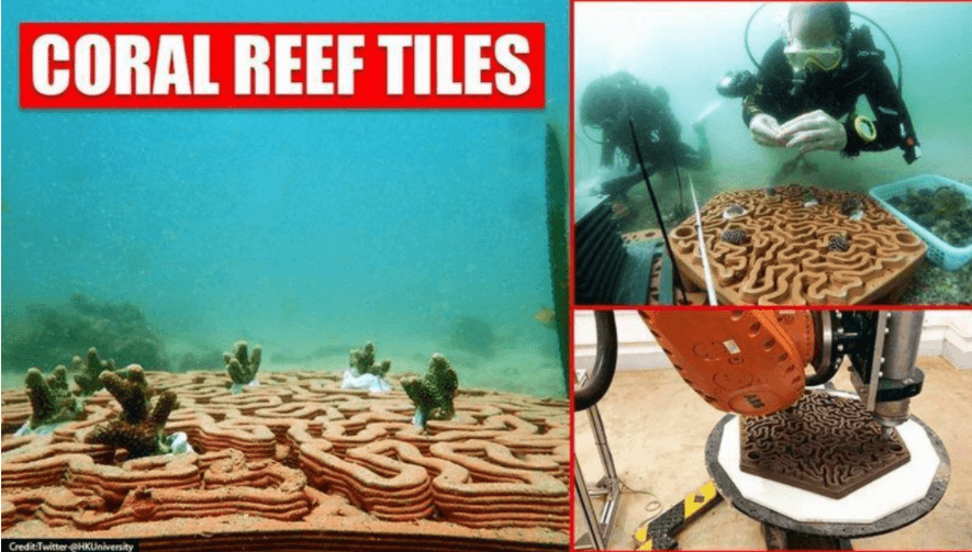 Coral-Reefs
