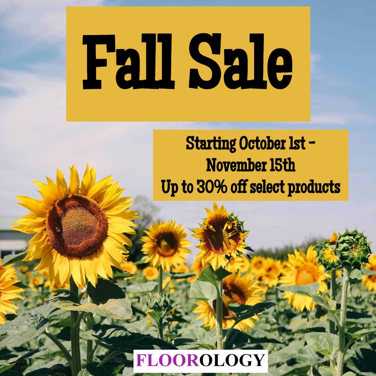 Fall-Sale-2019